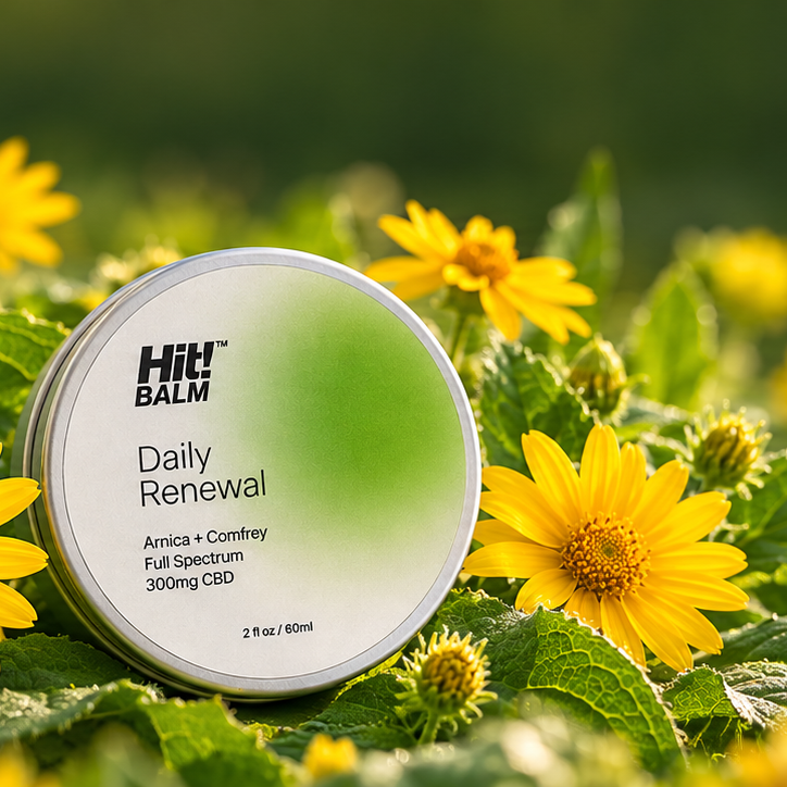 Daily Renewal balm with arnica flowers, wide banner